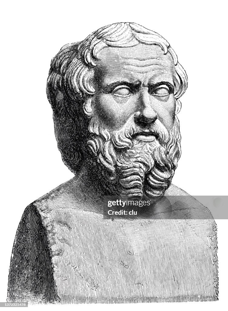 Herodotus bust