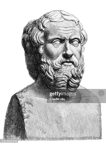 herodotus bust - beard stock illustrations stock illustrations
