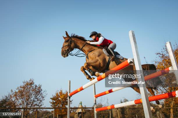 vue à angle bas jeune jockey sur cheval sautant par-dessus l’obstacle - hurdling photos et images de collection