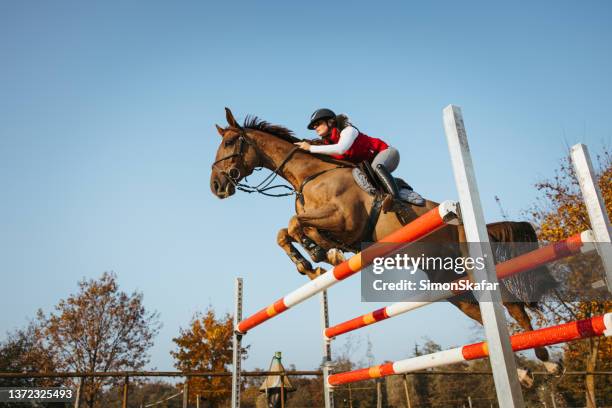low angle view young female jockey on horse jumping over hurdle - hindernisrace paardenrennen stockfoto's en -beelden