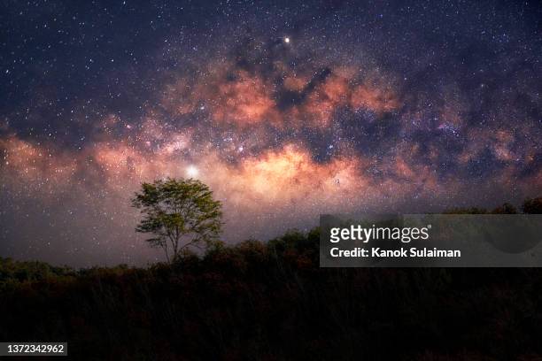 milky way over fubber tree forest on mountain - astrophysics ストックフォトと画像