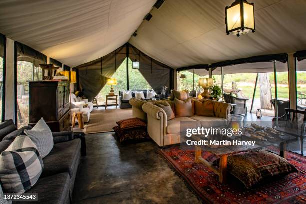 luxury tented lounge area at machaba camp, botswana - luxury tent stock pictures, royalty-free photos & images