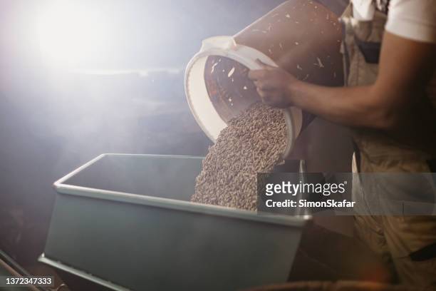 farmer pour grains of wheat into machine with bucket - pouring cereal stock pictures, royalty-free photos & images