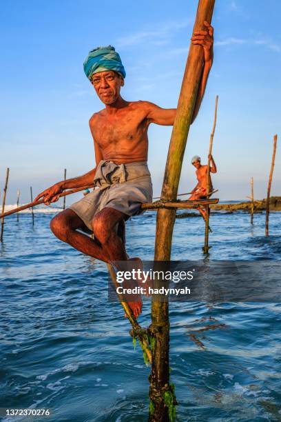 die stelzenfischer bei der arbeit, sri lanka, asien - galle sri lanka stock-fotos und bilder