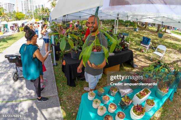 coconut grove art festival, miami, florida, united states of america usa - miami art stock pictures, royalty-free photos & images