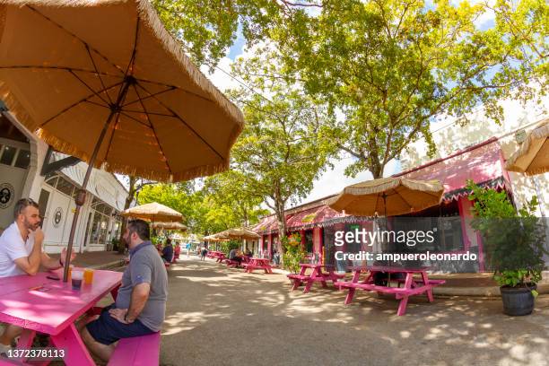 general landscape day shot of coconut grove, in miami, florida, usa. - coconut grove miami stock pictures, royalty-free photos & images
