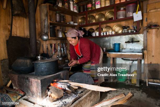 dhal bhat - nepal food stock pictures, royalty-free photos & images