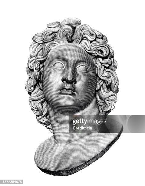 alexander the great, bust - statue head stock illustrations