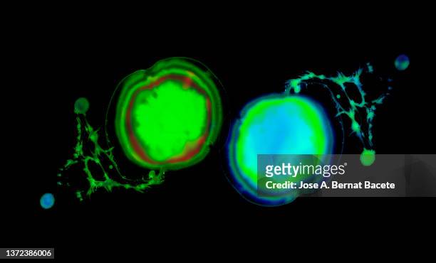 close-up molecule or drop of green liquid floating on a black surface. - celldelning bildbanksfoton och bilder