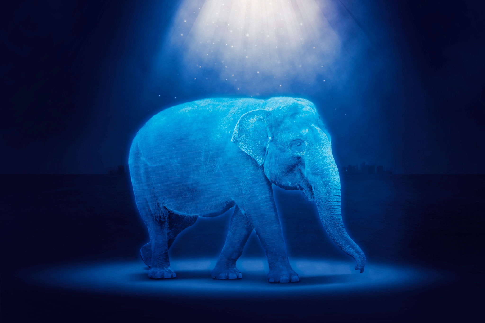 augmented reality wildlife
