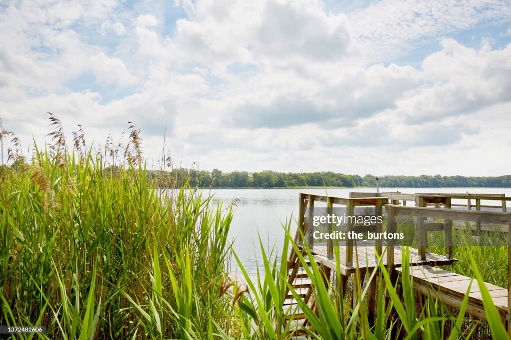 Jetty and swimming spot at idyllic lake with reed grass