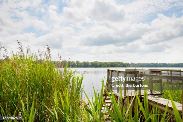 jetty and swimming spot at idyllic lake with reed grass - lake shore stock pictures, royalty-free photos & images