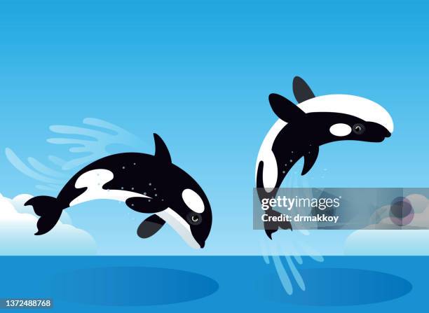 killer whale jumping - cartoon whale stock illustrations