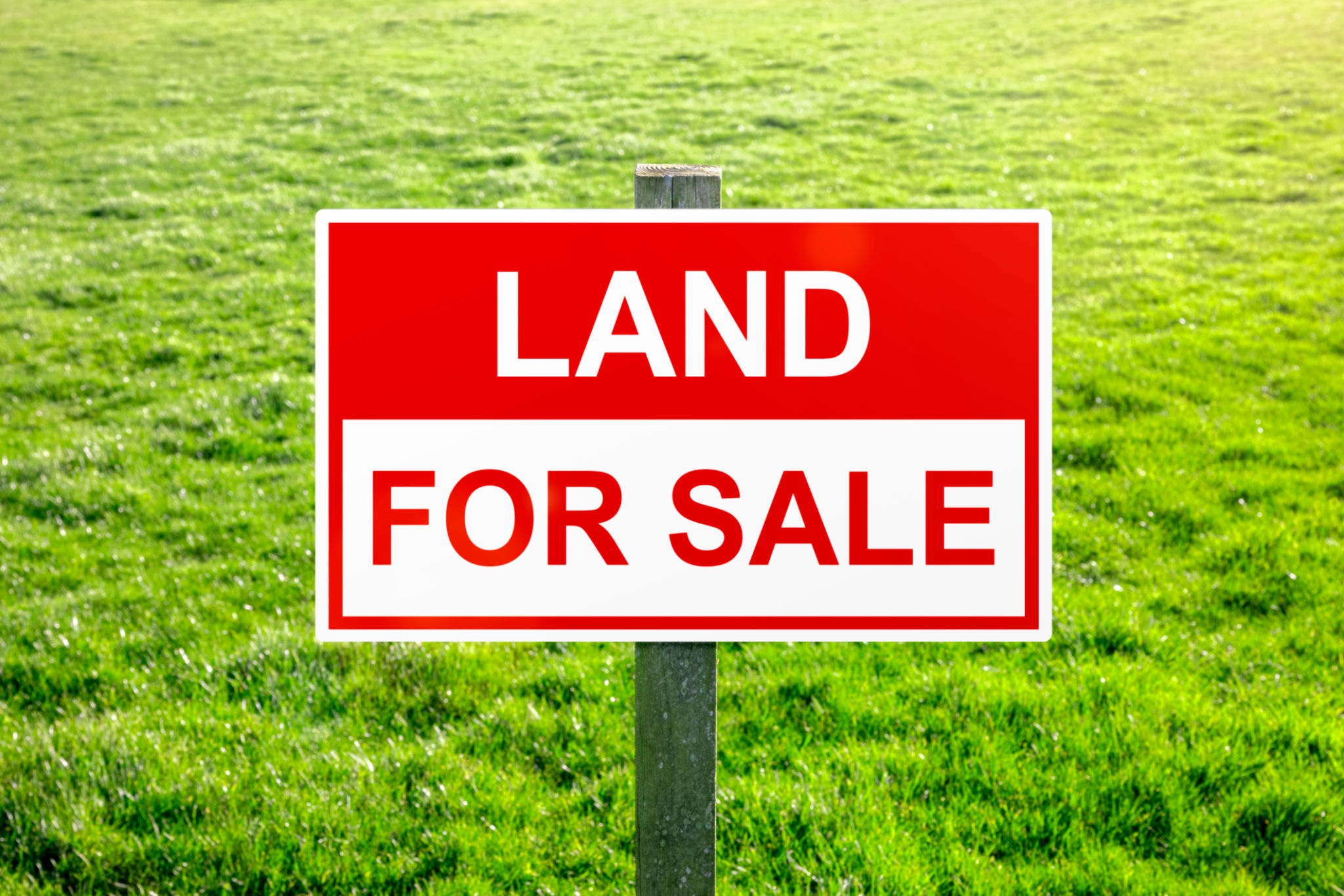 land buyers