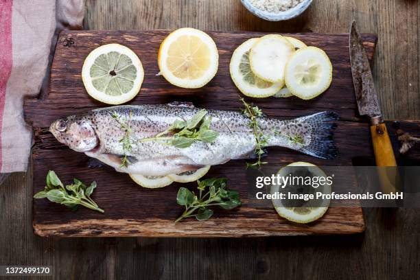 salmon stuffed with lemon and herbs, ready to roast - sea trout stock pictures, royalty-free photos & images