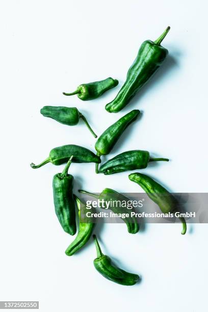 roasted pepper (pimientos de padron) - pimientos stockfoto's en -beelden