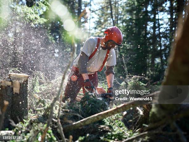 young logger cutting tree with electric saw in forest - houthakker stockfoto's en -beelden