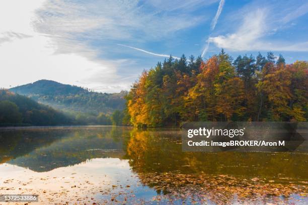 autumn morning at lake thal near graz, styria region, austria - thal austria stock-fotos und bilder