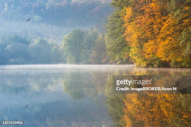 autumn morning at lake thal near graz, styria region, austria - thal austria stock-fotos und bilder