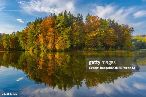 autumn morning at lake thal near graz, styria region, austria - thal austria stock-fotos und bilder