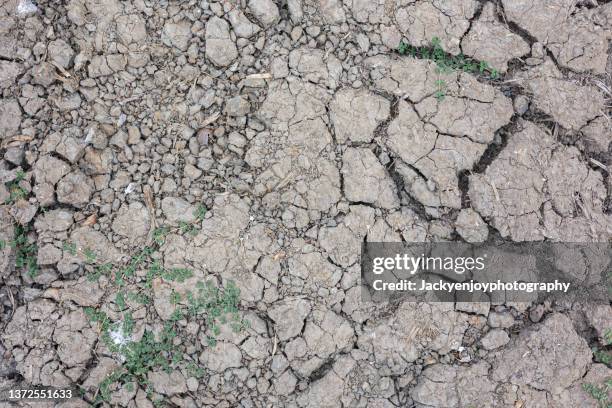 background cracked, dry white clay, natural material, atmospheric impact, outdoors, horizontal close-up photo. dry soil - planet destruction stock pictures, royalty-free photos & images