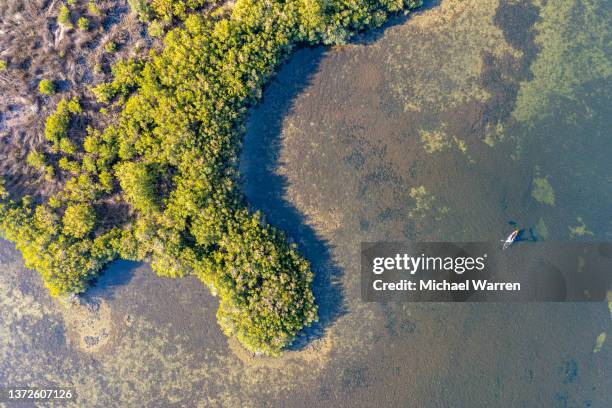 drone view of kayak fishing in florida - mangrove kayak stock pictures, royalty-free photos & images