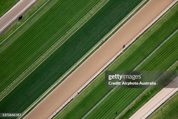 randwick racecourse - horse racing australia stock-fotos und bilder