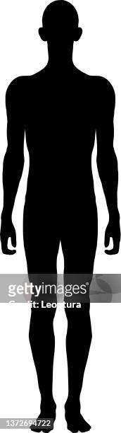 generic male body - body silhouette stock illustrations