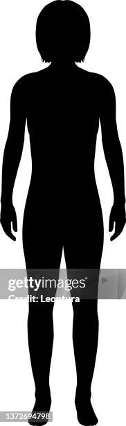 generic human - woman body contour standing stock illustrations