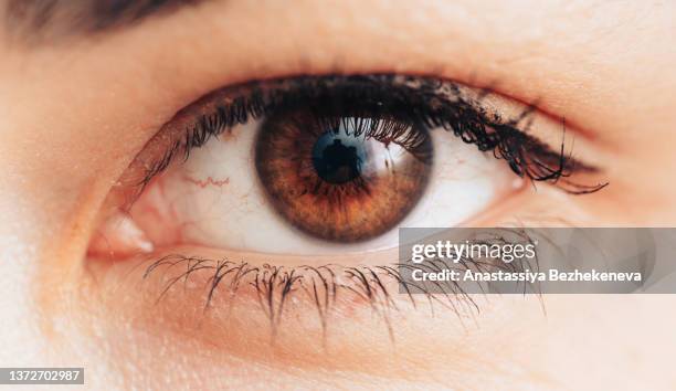 healthy brown female eye close up - brown eyes 個照片及圖片檔