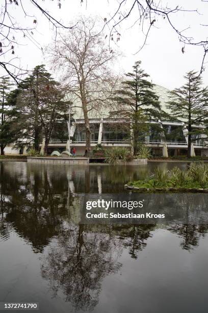 super bock arena behind the trees, reflections, porto, portugal - 1954 imagens e fotografias de stock