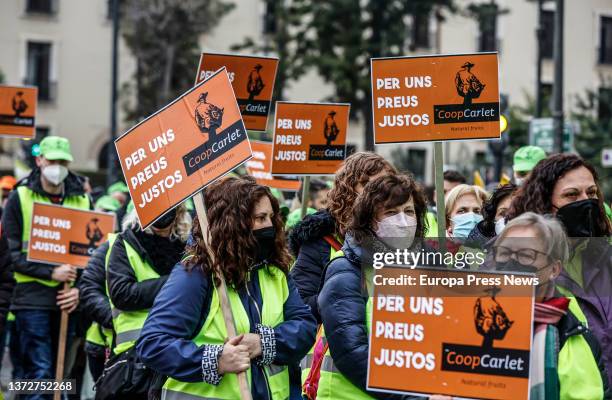 Several women, with banners of the agricultural cooperative Carlet that read 'Per uns preus justos', in a rally for the "survival" of the Valencian...