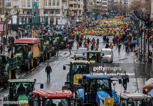 Several people and tractors in a rally for the "survival" of the Valencian countryside, in the Plaza San Agustin, on 25 February, 2022 in Valencia,...