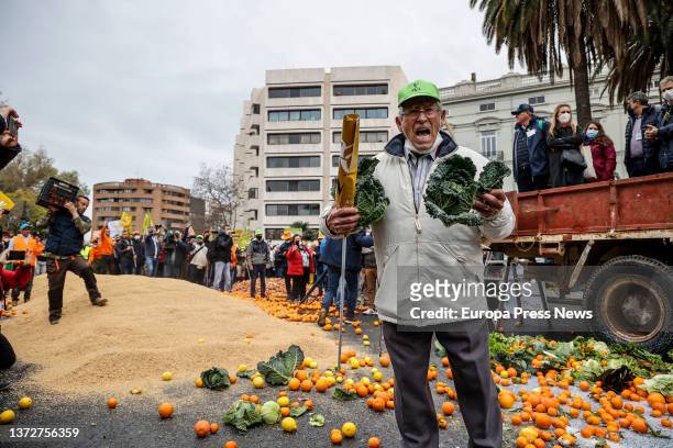 Several farmers throw cabbages and oranges as a protest, in a rally for the "survival" of the Valencian countryside, in the Plaza San Agustin, on 25...