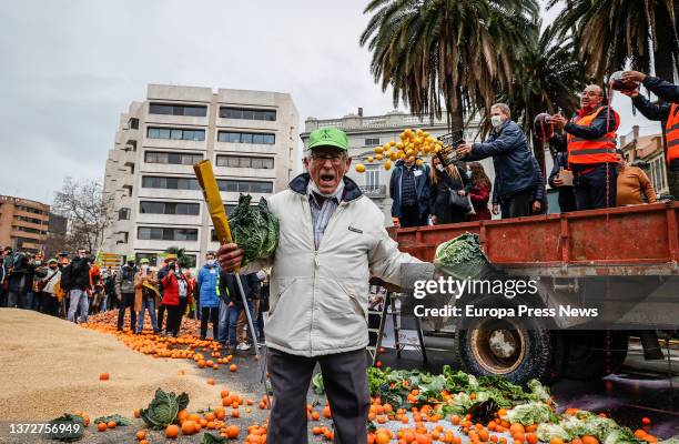 Several farmers throw cabbages and oranges as a protest, in a rally for the "survival" of the Valencian countryside, in the Plaza San Agustin, on 25...