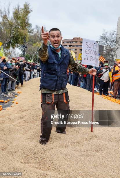 Several farmers throw oranges and cereal as a protest, in a rally for the "survival" of the Valencian countryside, in the Plaza San Agustin, on 25...