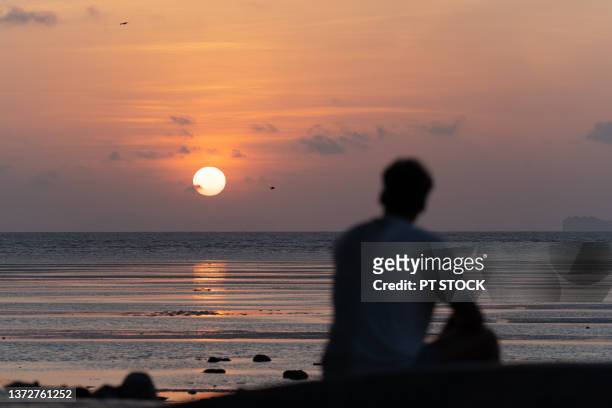 a man sitting on a stone and watch the sun rise at the sea and a bird flew by - watching sunset stock pictures, royalty-free photos & images