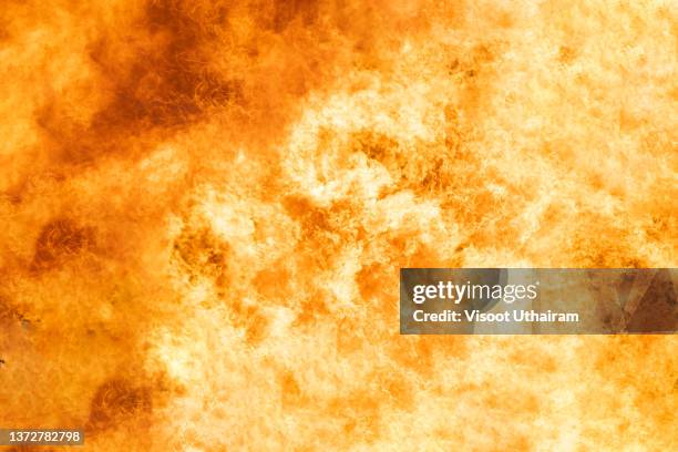 fire flames,fire flame texture,blaze flames background. - hirnverbrannt stock-fotos und bilder
