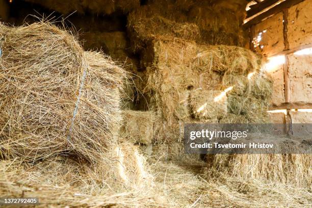 hdr image of an old barn with the sun streaming from outside and straw and hay on the floor of the hayloft. - grange photos et images de collection