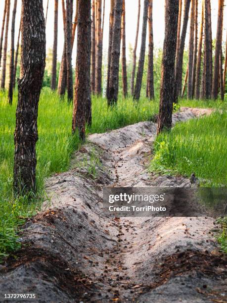 1,018 Fire Break Stock Photos, High-Res Pictures, and Images - Getty Images