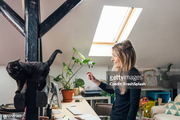una vista laterale di una bella donna bionda caucasica che gioca con il suo gatto in salotto mentre si prende una pausa dal lavoro online - black and white cat foto e immagini stock