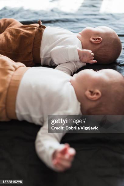 twin babies resting in a crib - fraternal twin stock pictures, royalty-free photos & images