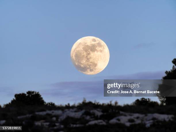 landscape with the rising of the full moon during the golden hour. - moon stockfoto's en -beelden