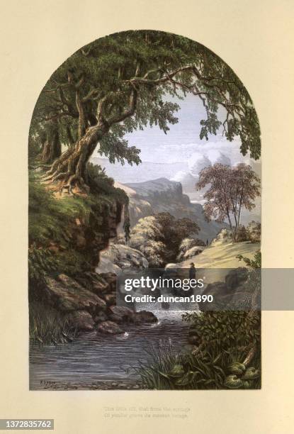 waldhain und natürliches quellwasser, viktorianische landschaftskunst, 19. jahrhundert - england river landscape stock-grafiken, -clipart, -cartoons und -symbole