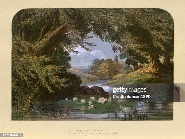 stockillustraties, clipart, cartoons en iconen met water lilies in a woodland stream, lake, tranqil, victorian landscape art, 19th century - victorian