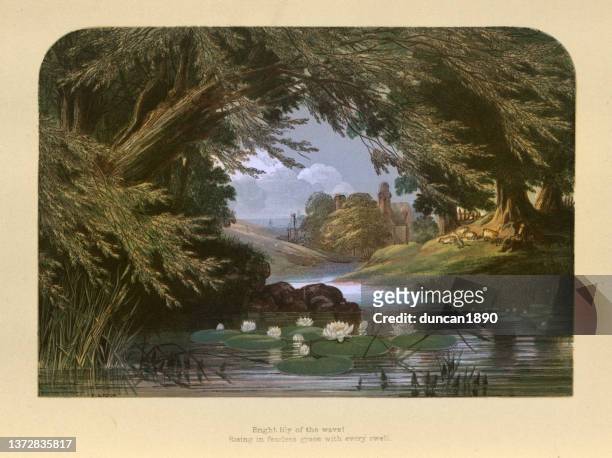 ilustrações, clipart, desenhos animados e ícones de lírios d'água em um córrego florestal, lago, tranqil, arte paisagística vitoriana, século xix - 19th century