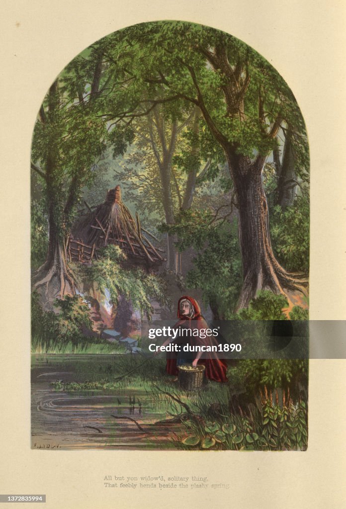 Old woman collecting herbs from a woodland spring, Victorian art, 19th Century