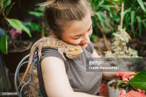 花屋植栽工場 - reptile ストックフォトと画像