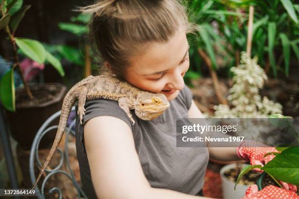 florist planting plants - kräldjur bildbanksfoton och bilder