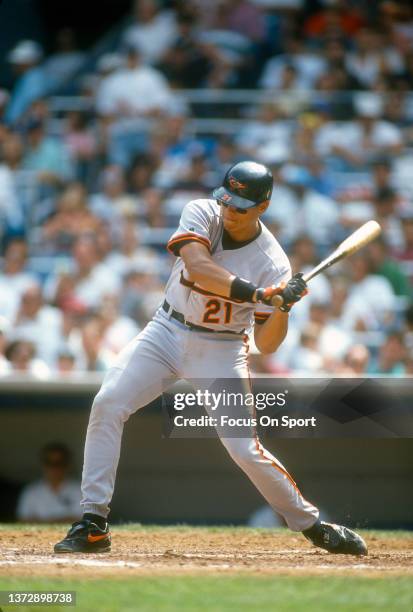 Segui Baseball 355 David Segui Photos & High Res Pictures - Getty Images